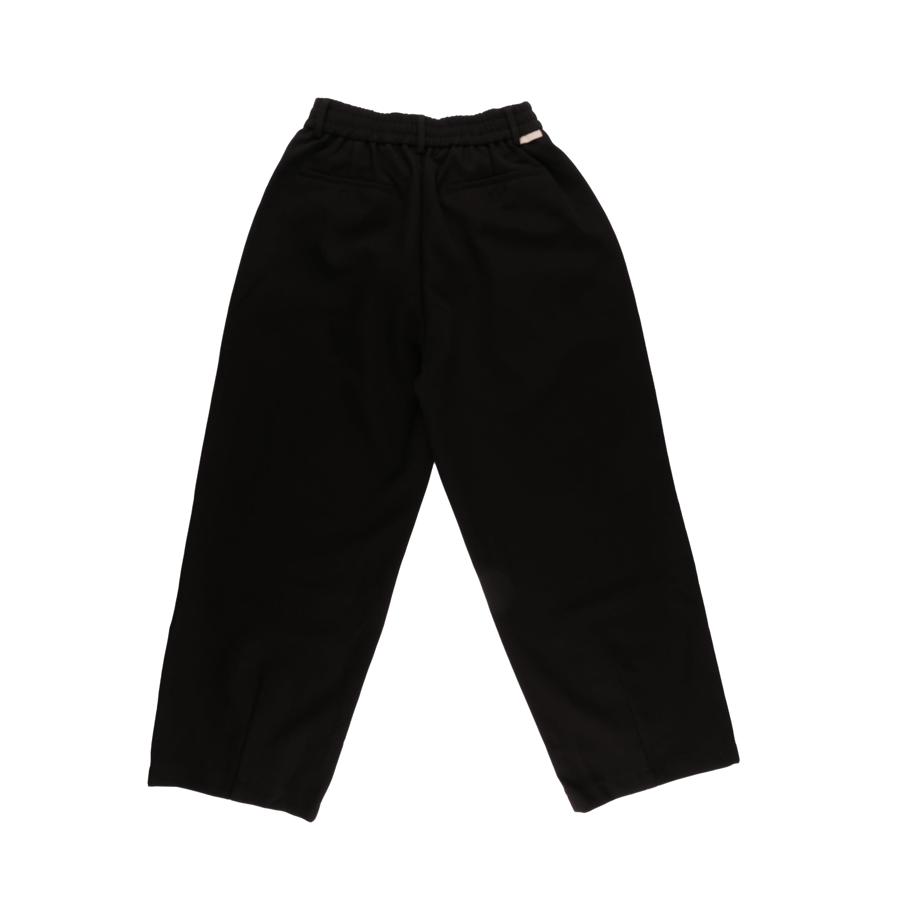 Pleated Pants Black